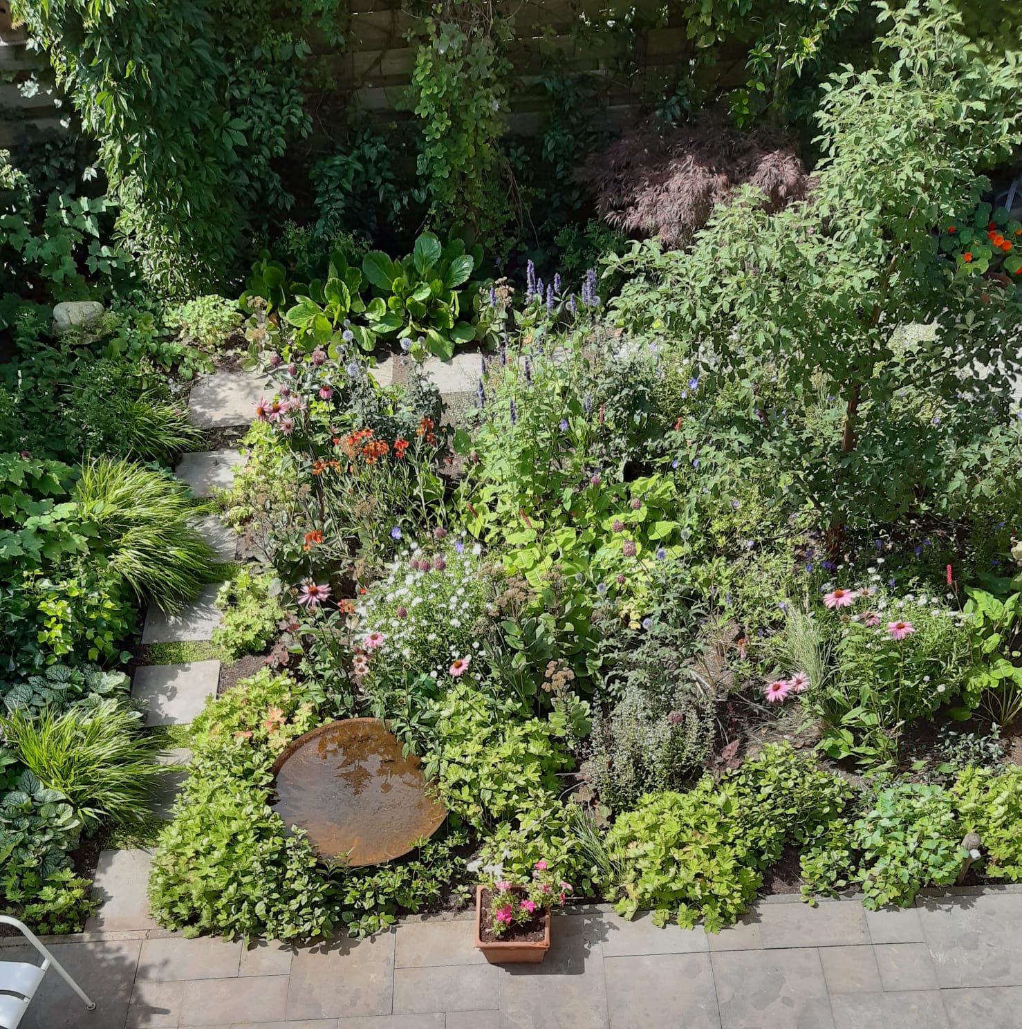 Schilderen met planten appeltern Schilderen met planten appeltern