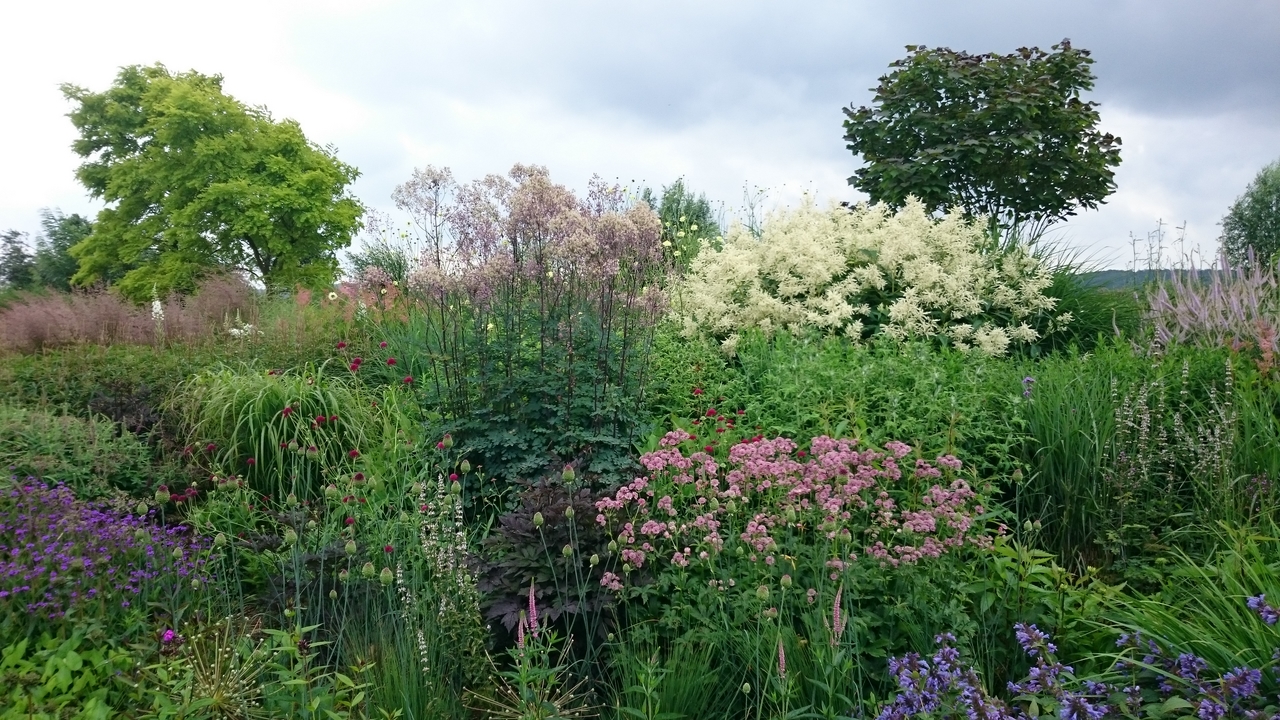 Je bekijkt nu Tuin de Villa Persingen