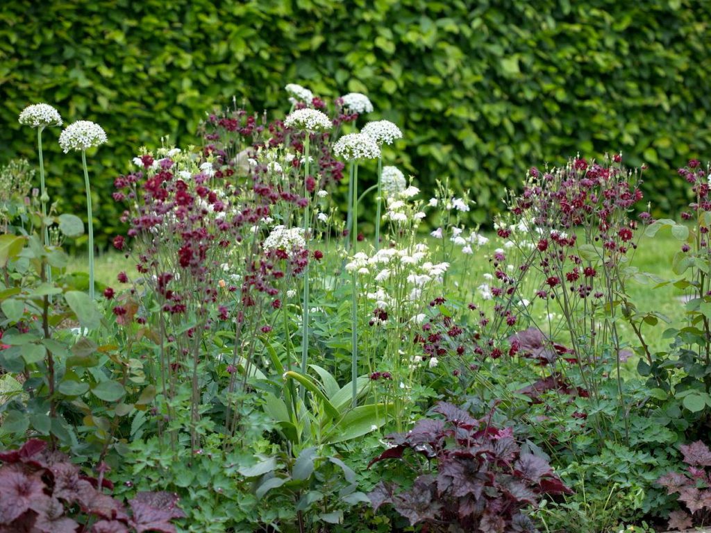 Schilderen met planten appeltern