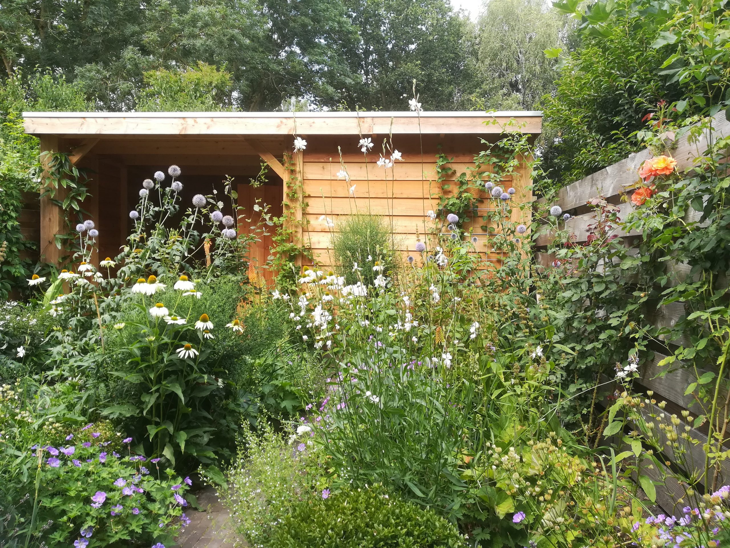 Tuinontwerp Leusden blauw wit oranje