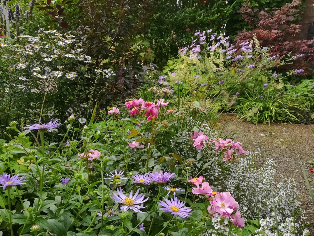 Beplanting privetuin Amersfoort